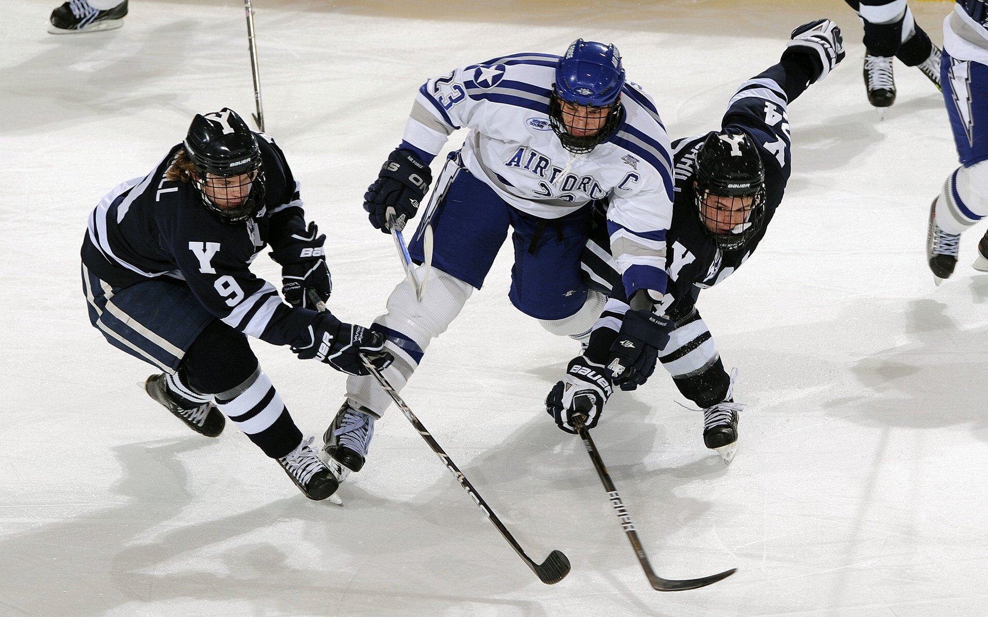 “球迷狂欢：最感人应援场面回顾”，球迷球迷